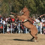 Gauchos